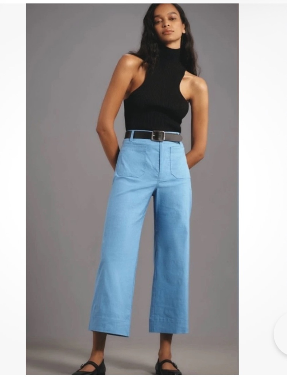 Colette Magic Fabric Crop Wide Leg Pants by Maeve